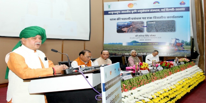 पूसा डीकंपोजर का उपयोग कर पराली की समस्या के समाधान के साथ-साथ खेती योग्य भूमि में बढ़ेगी उर्वरता
